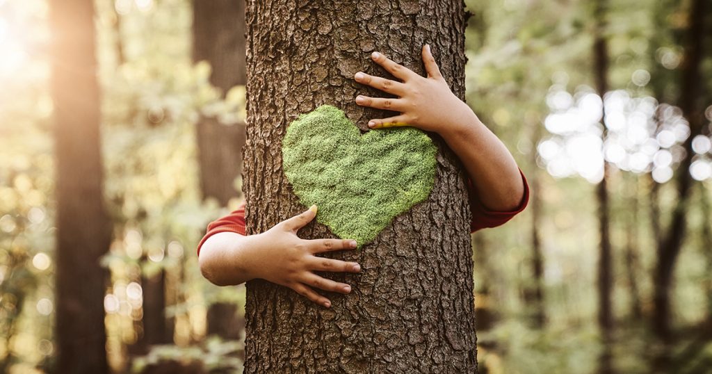 L’attribut alt de cette image est vide, son nom de fichier est tirages-photo-ecologiques-1024x538.jpg.